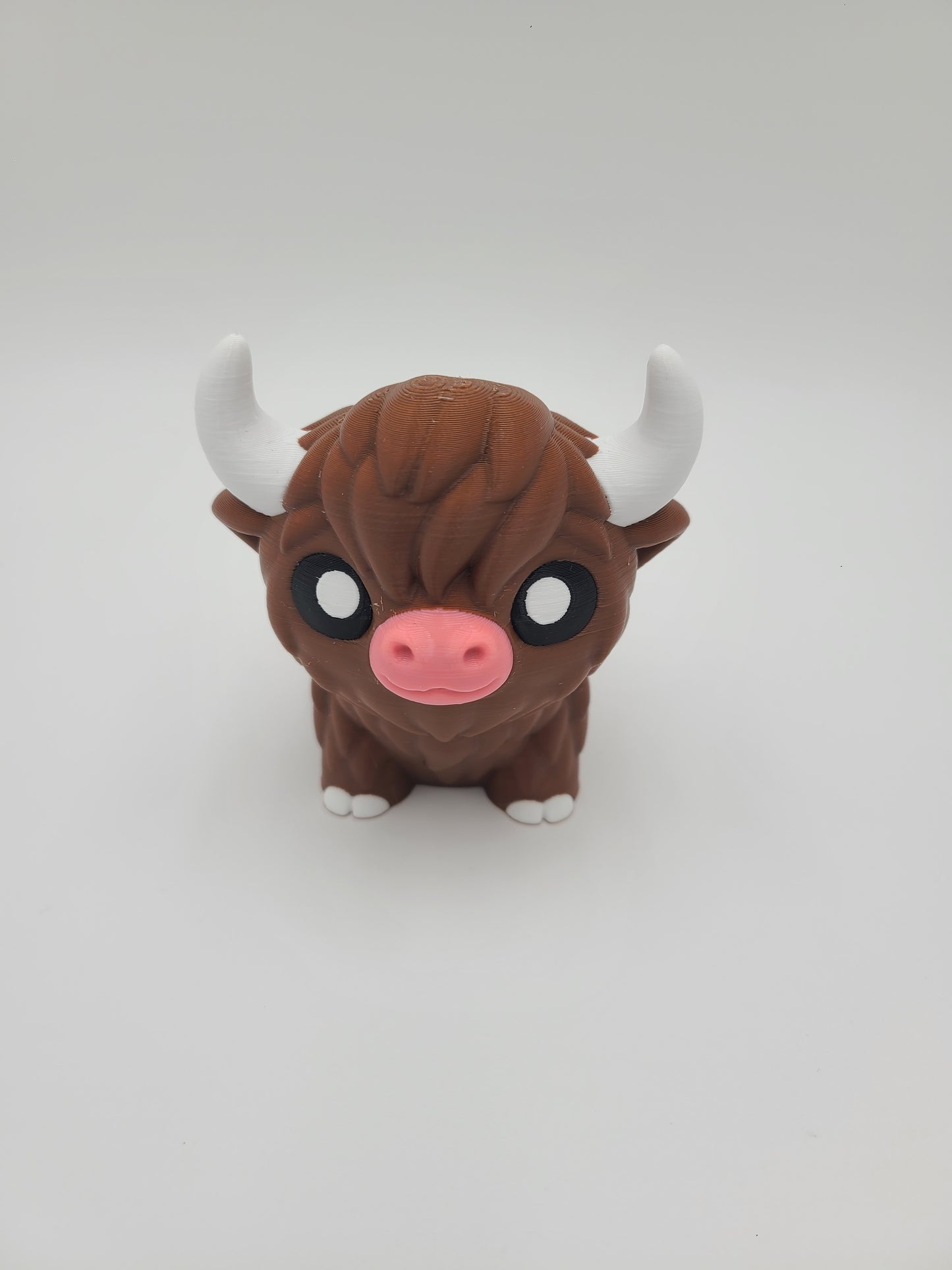 Highland Cow