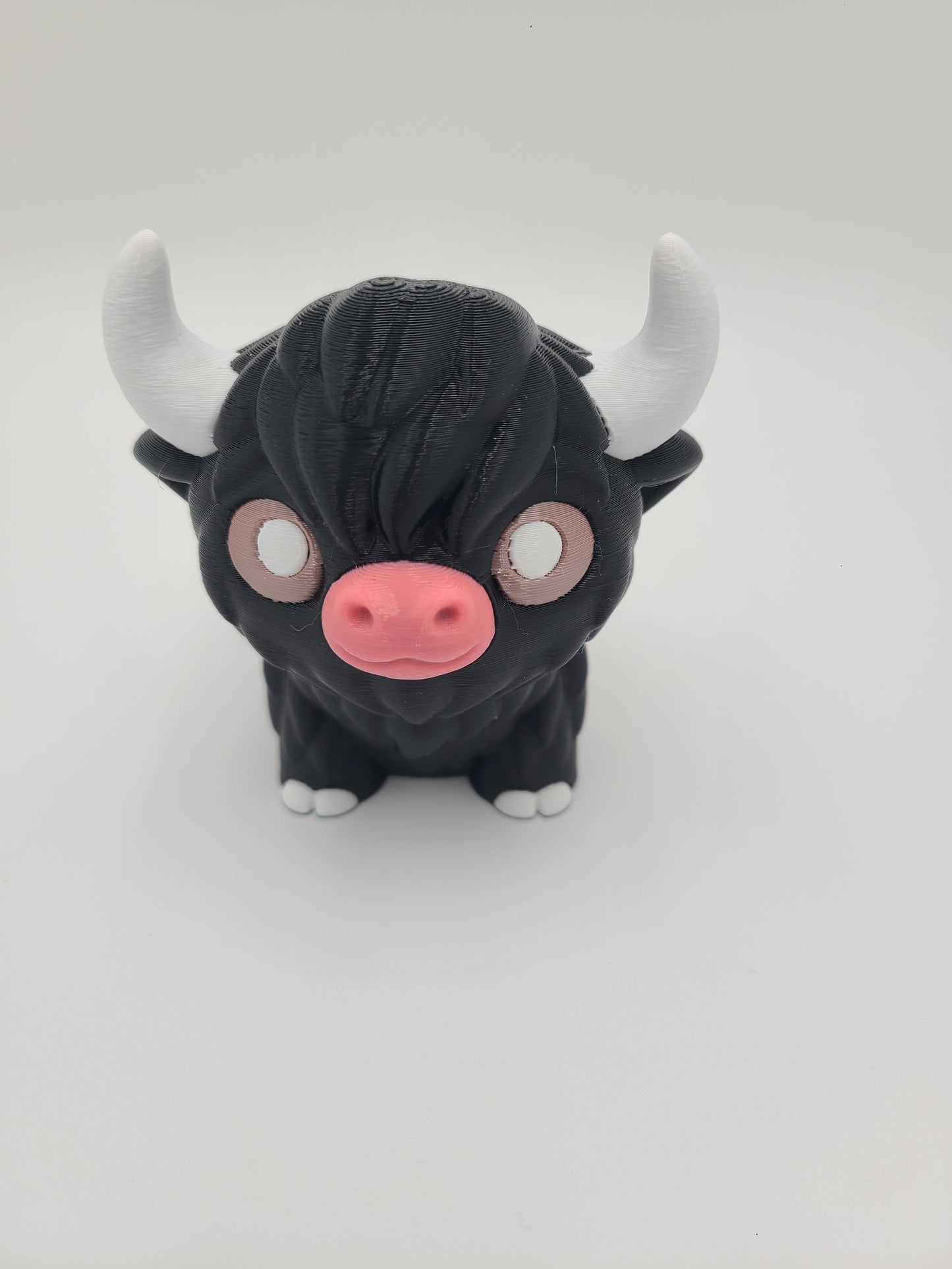 Highland Cow