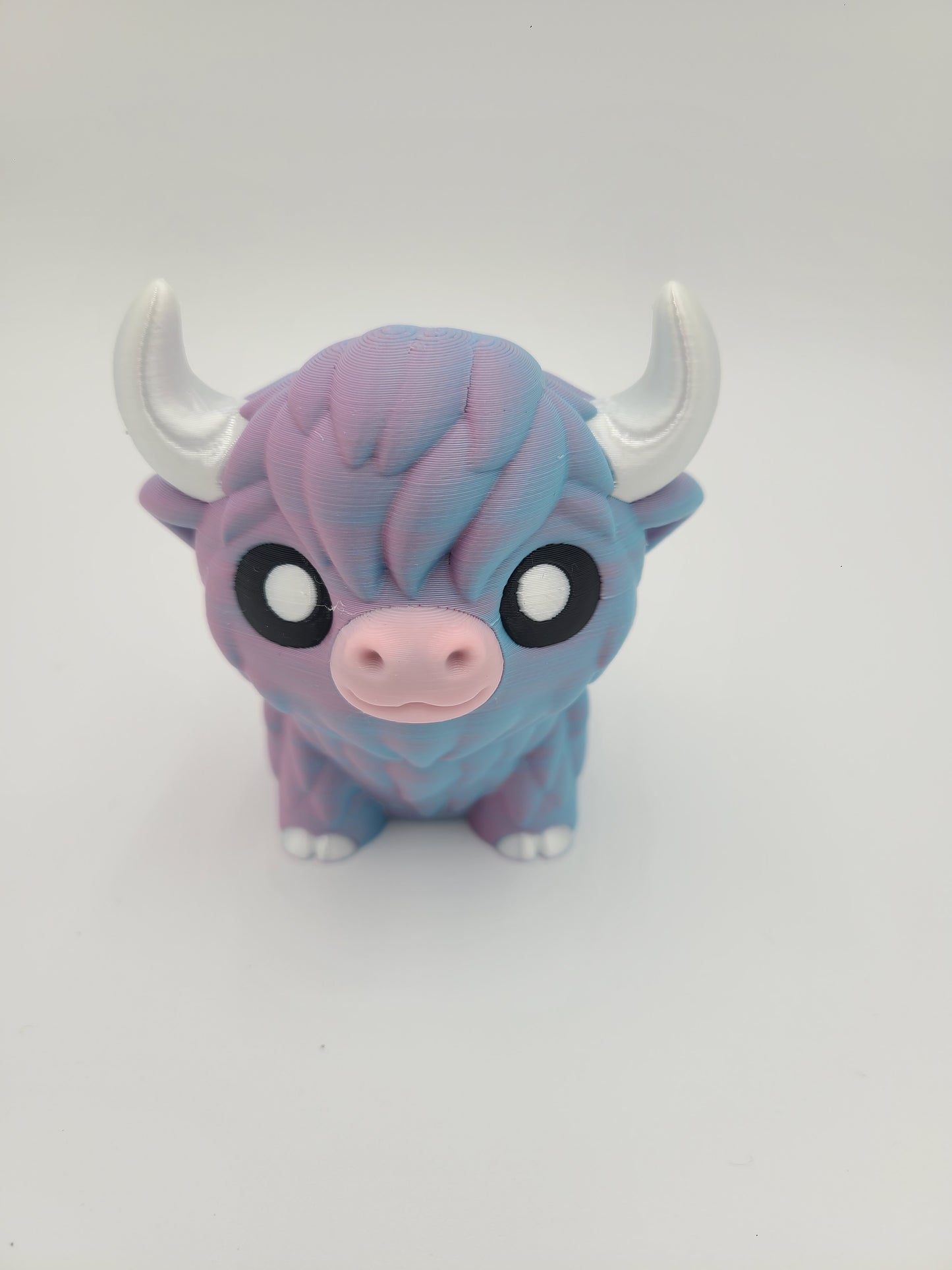 Highland Cow